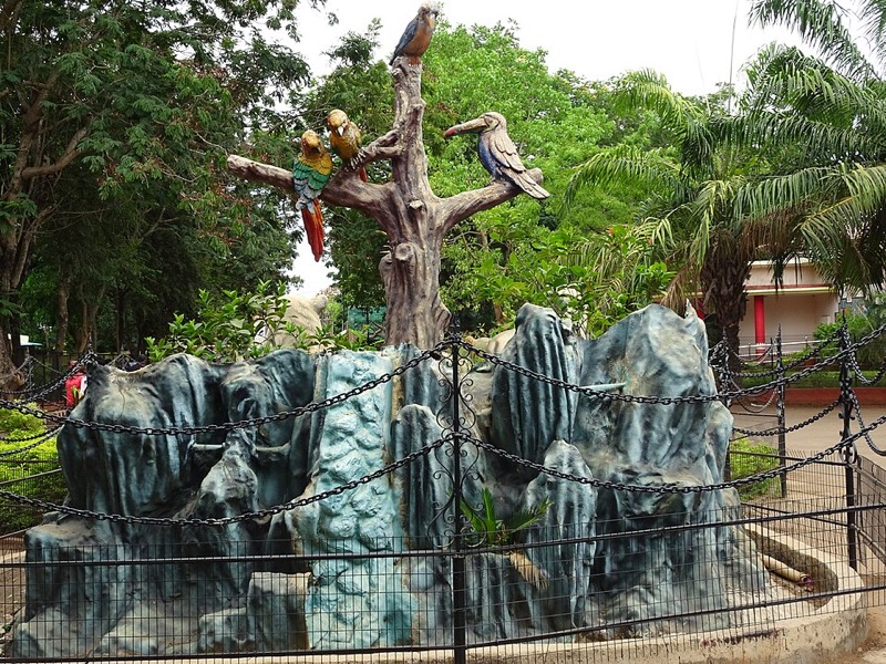 Nandankanan Zoological Park Bhubaneswar