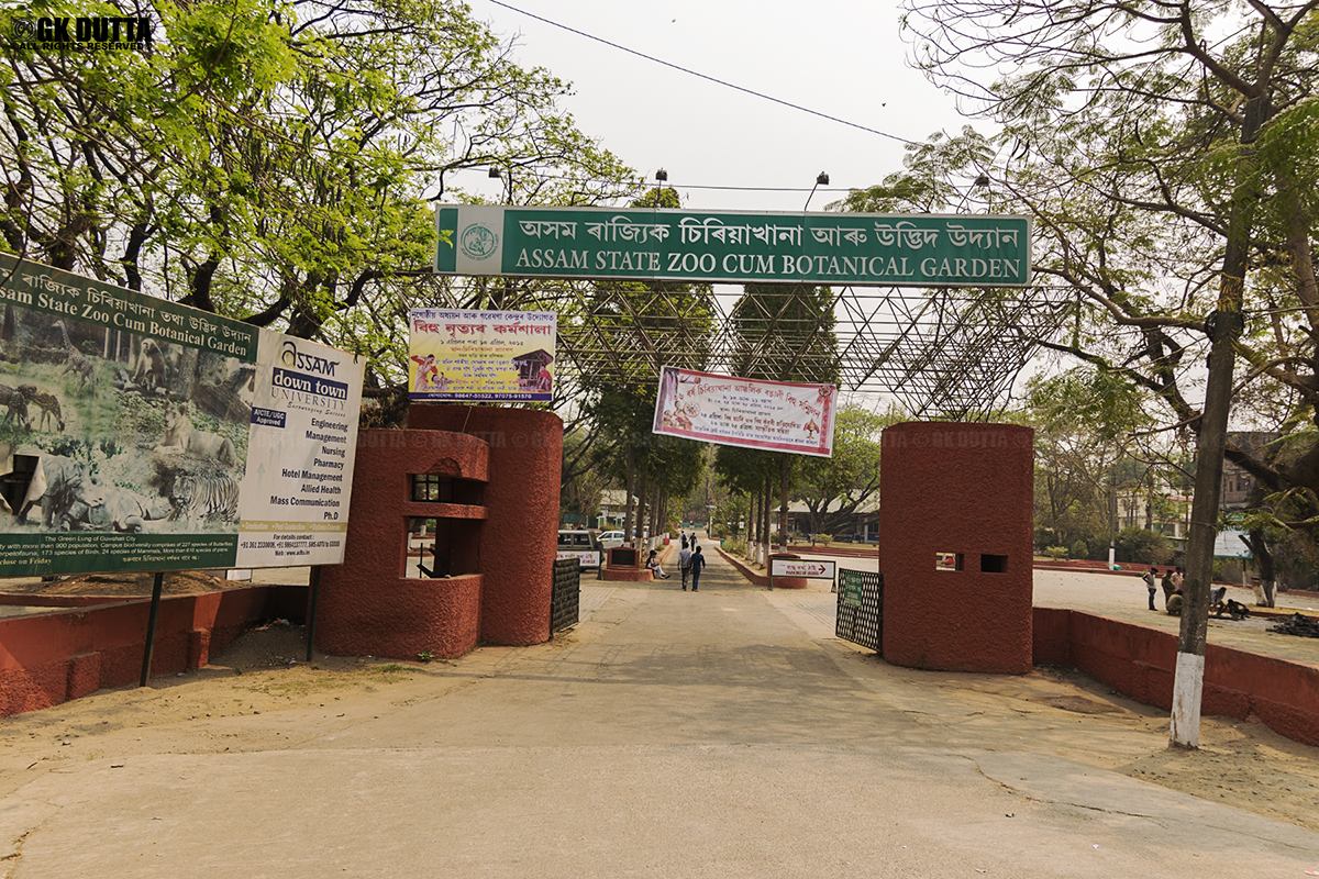 Assam State Zoo Guwahati