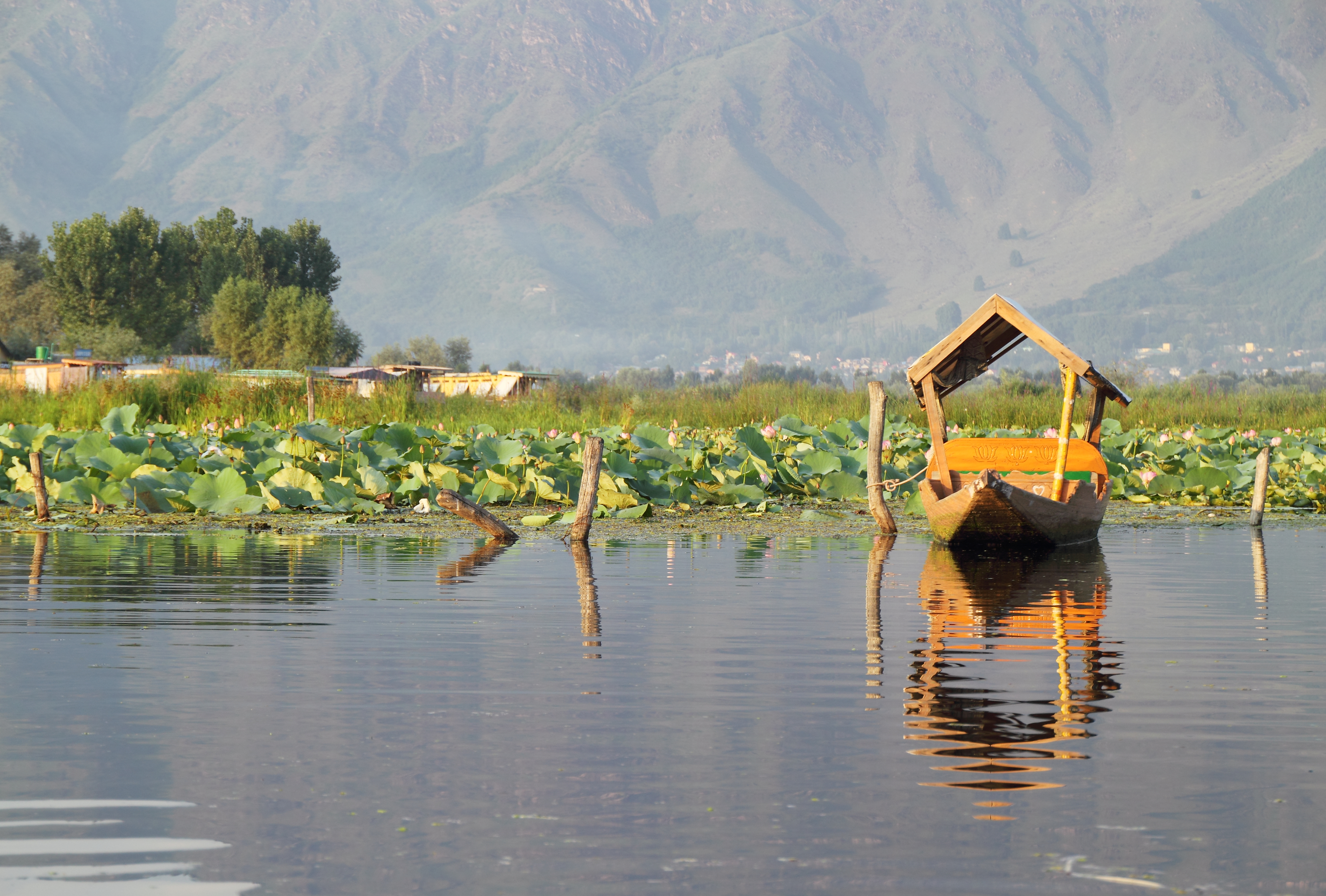 Dal Lake Shikara Ride Srinagar