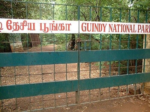 Guindy National Park Chennai
