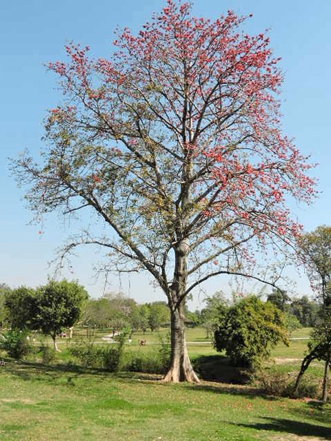 Leisure Valley Chandigarh