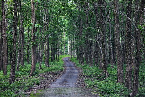 Mahananda Wildlife Sanctuary