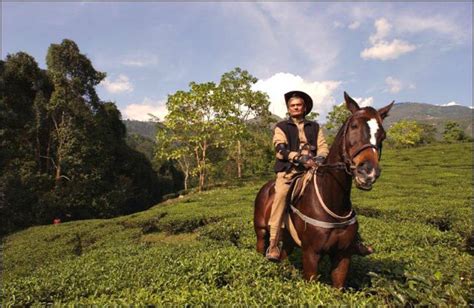 Makaibari Tea Garden