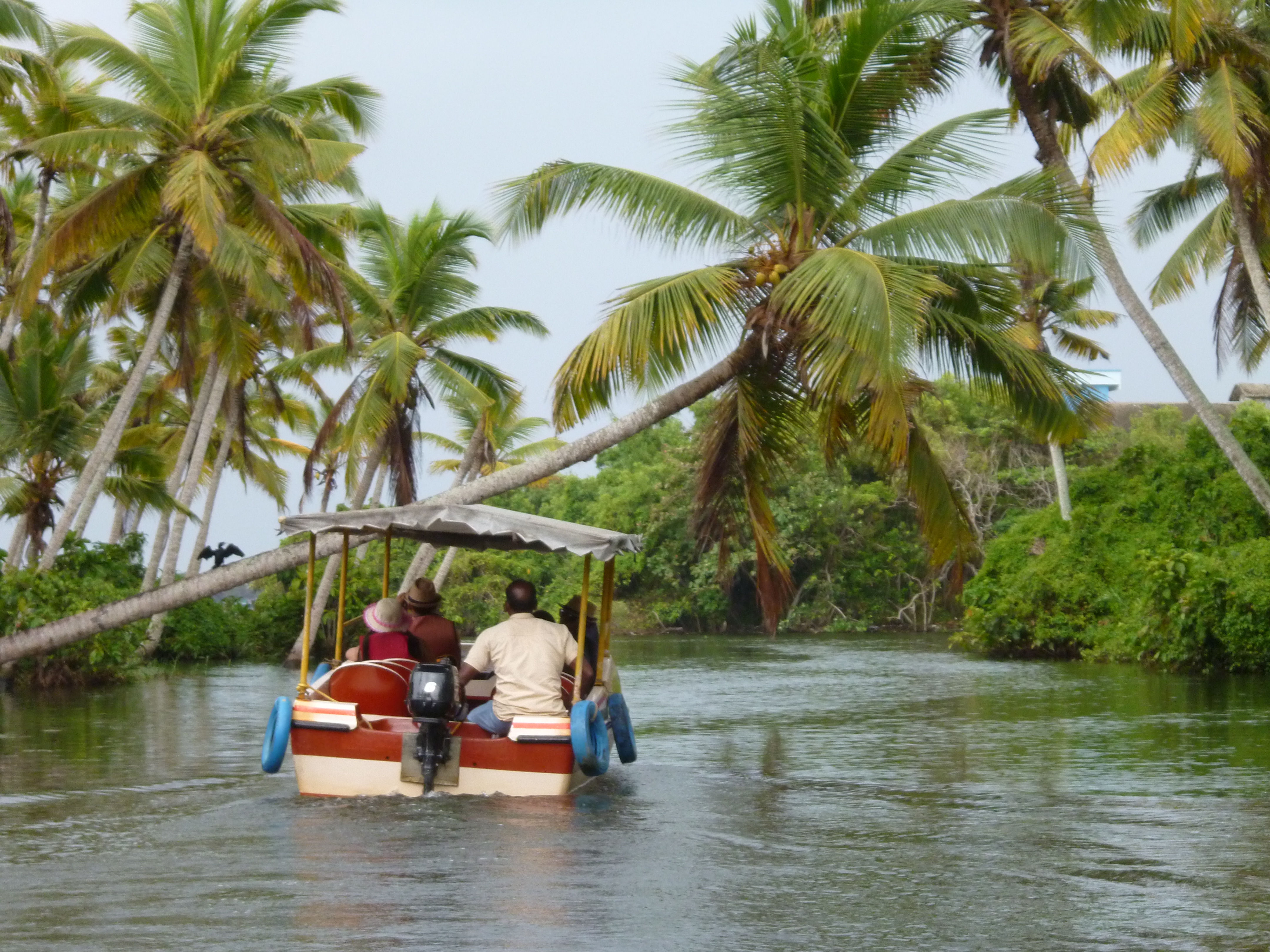 Backwater Boat Ride Thiruvananthapuram