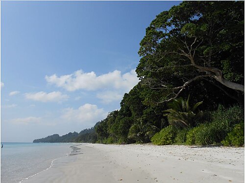 Radhanagar Beach Andaman