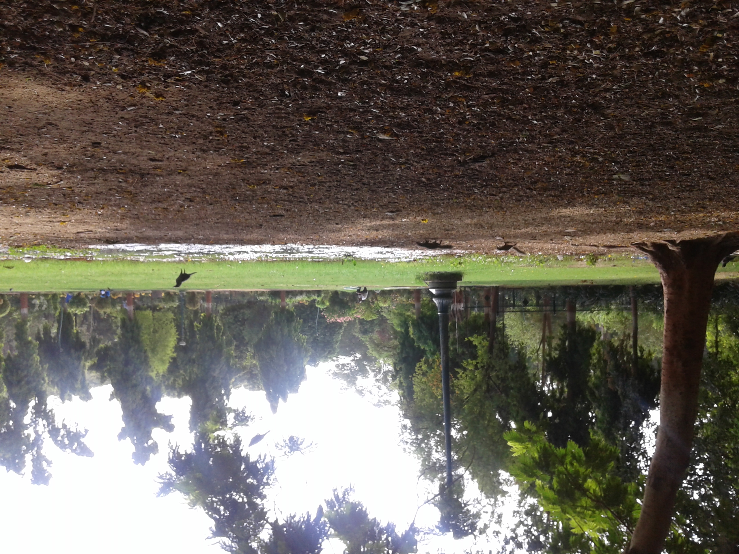 Sayaji Garden Vadodara