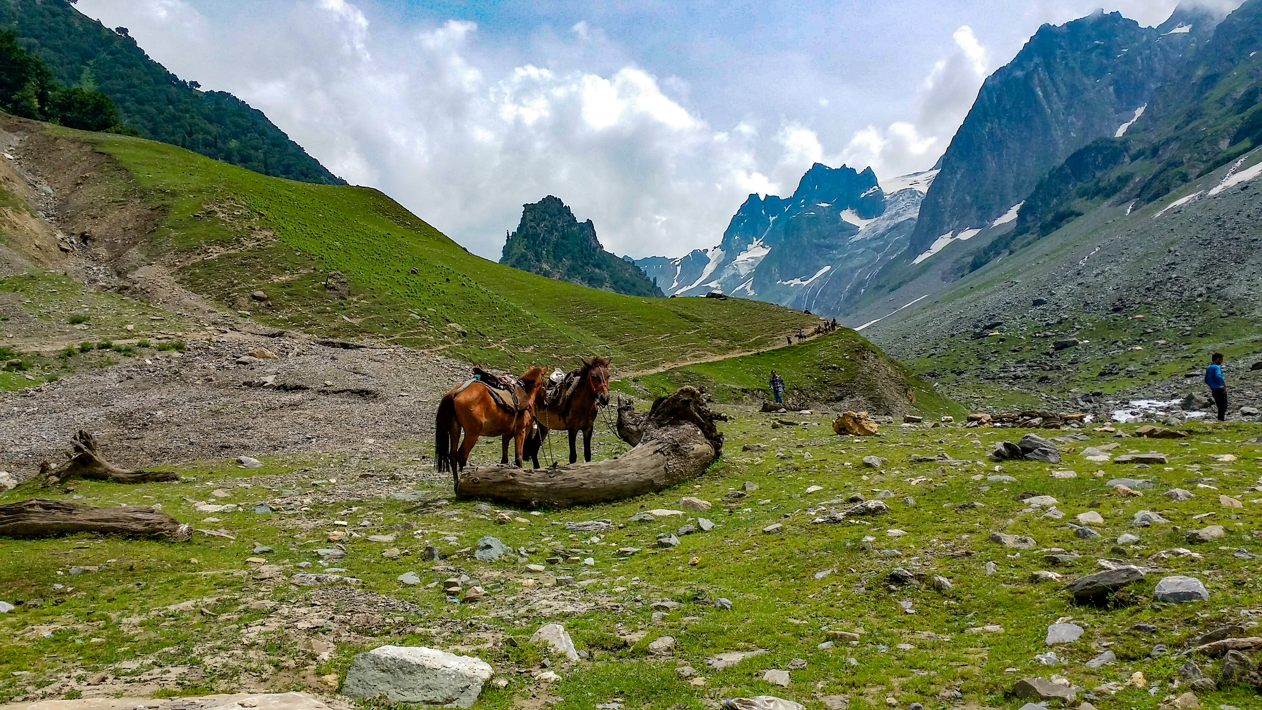 Sonmarg Trip from Srinagar